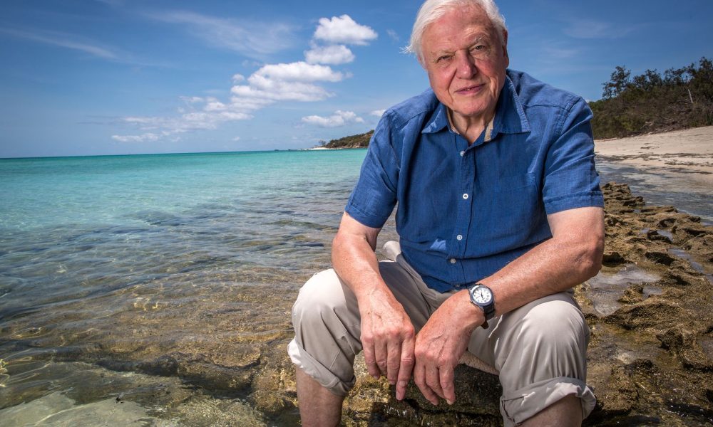 Viasat Nature David Attenboroughs Great Barrier Reef 1 Сър Дейвид Атънбъро, Големият бариерен риф и Праисторически гиганти по VIASAT NATURE
