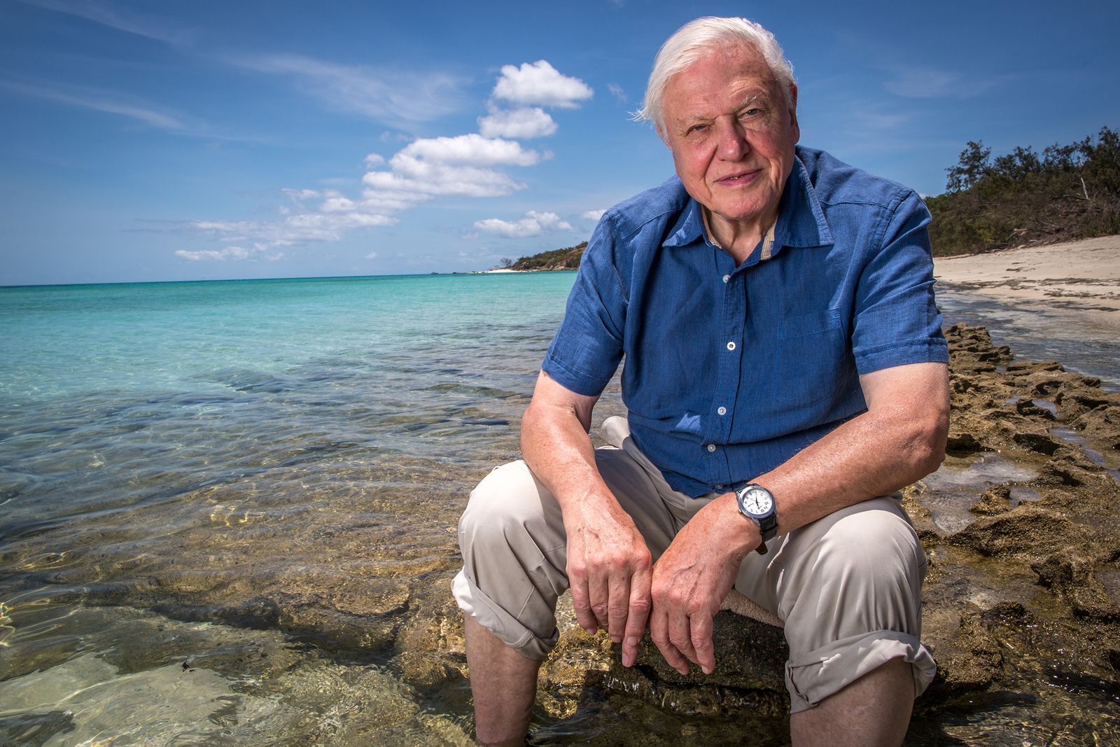 Viasat Nature David Attenboroughs Great Barrier Reef 1 Сър Дейвид Атънбъро, Големият бариерен риф и Праисторически гиганти по VIASAT NATURE