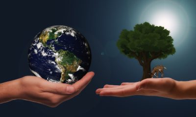 Sustainability Pic 1 Глътка устойчивост: как потребителите и производители на безалкохолни напитки могат да подпомагат природата