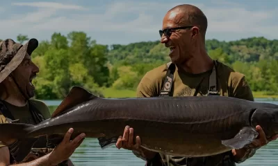 Viasat EXPLORE The Grand Fishing Adventure S02 Йелоустоун, Уейко и Голямото риболовно приключение с Али Хамиди и Боби Замора по VIASAT EXPLORE