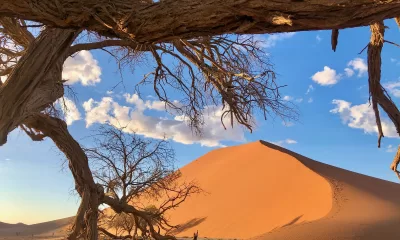 Viasat Nature NAMIBIA 1 Bild 29 Неопитомената Африка, В Конго с Бен Фогъл и Дивият Тайланд по VIASAT NATURE
