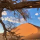 Viasat Nature NAMIBIA 1 Bild 29 Неопитомената Африка, В Конго с Бен Фогъл и Дивият Тайланд по VIASAT NATURE