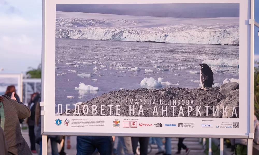 Kaufland Antarctica exhibition 4 Варненци ще чуват звуци от Антарктида в Морската градина до 18 август