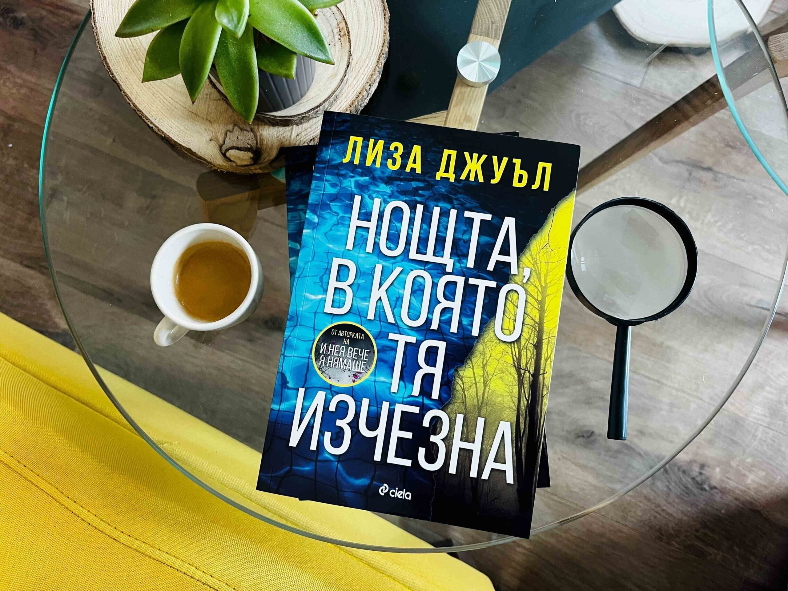Нощта в която тя изчезна снимка scaled Млада жена изчезва в нов завладяващ трилър от сензацията Лиза Джуъл