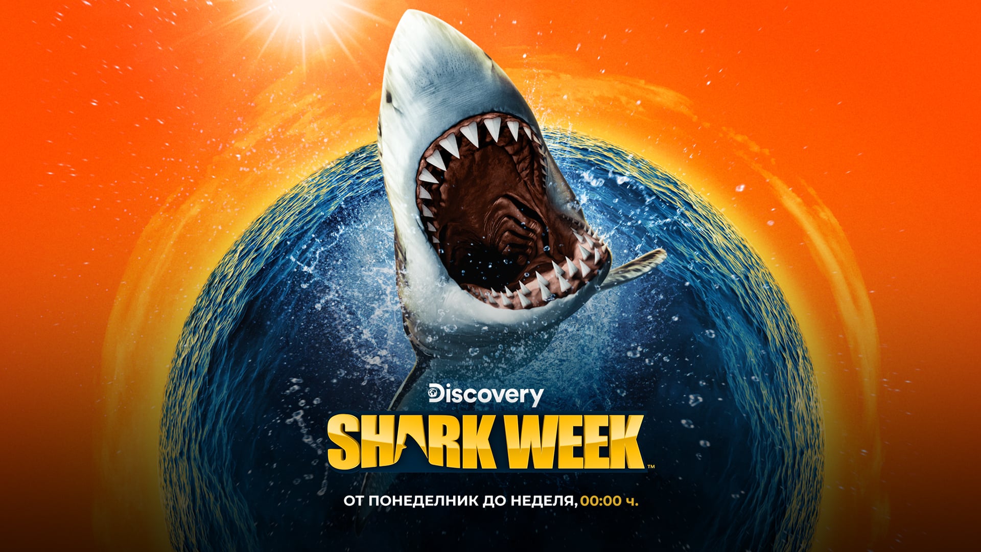 shark week 688382326d1d8 „Седмицата на акулите“ започва на 28 юли по Discovery