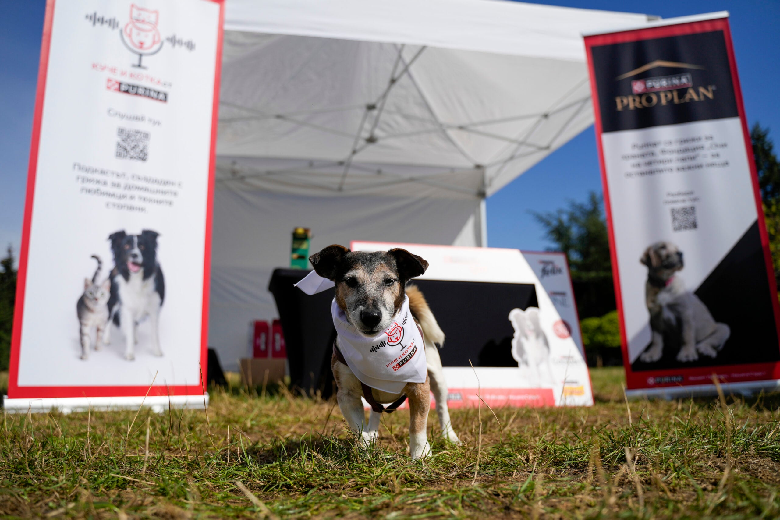 DSC1737 scaled Любимата на много домашни любимци храна Purina, отново се включва в „Нестле за Живей Активно!“