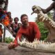 Viasat Nature SteveBackshallsExtrmRvrChlg 02 004 Екстремното речно предизвикателство на Стив Бакшал: Необикновено пътешествие в непознатото