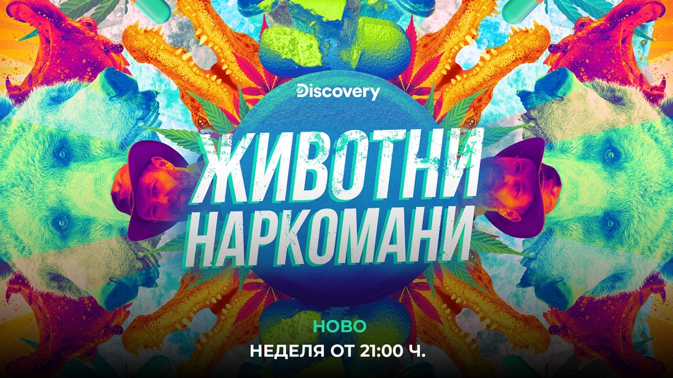 animals on drugs 68ff3ed604b81 Discovery Channel представя „Животни наркомани“