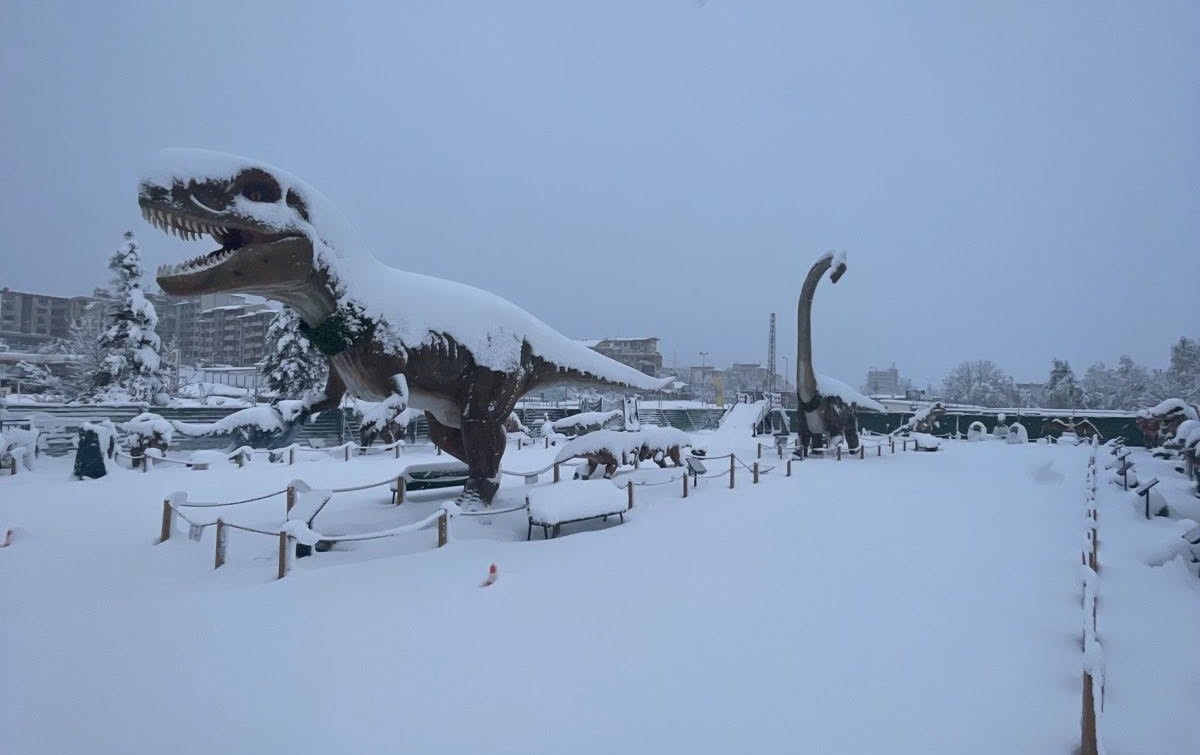 Dinozavri_Kaufland_Sofia (1)
