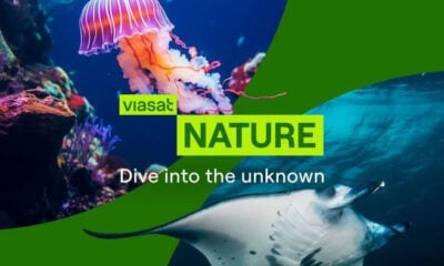 image 47 Сезон на океанския свят, Кораловият град и Сините китове по VIASAT NATURE