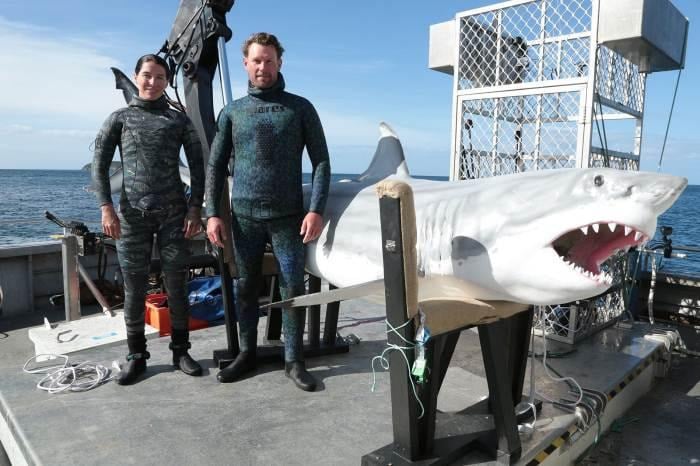 image 70 Сезон на акулите и Живот при температури под нулата по VIASAT NATURE