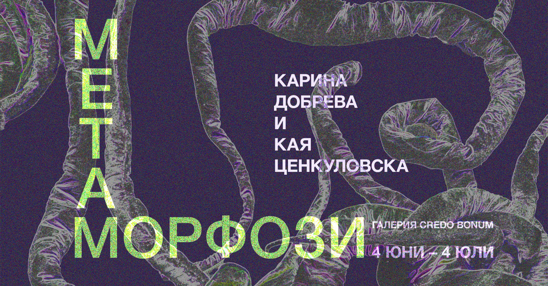 unnamed „Метаморфози“, изложба на Карина Добрева и Кая Ценкуловска