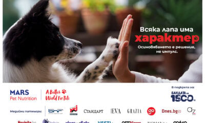 1. mars x 1500 dog gang campaign Стартира кампанията „Всяка лапа има характер“ за повече успешни осиновявания в България