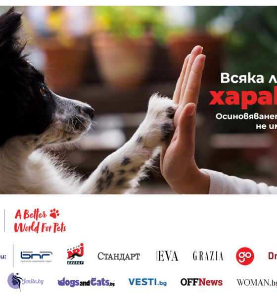 1. mars x 1500 dog gang campaign Стартира кампанията „Всяка лапа има характер“ за повече успешни осиновявания в България