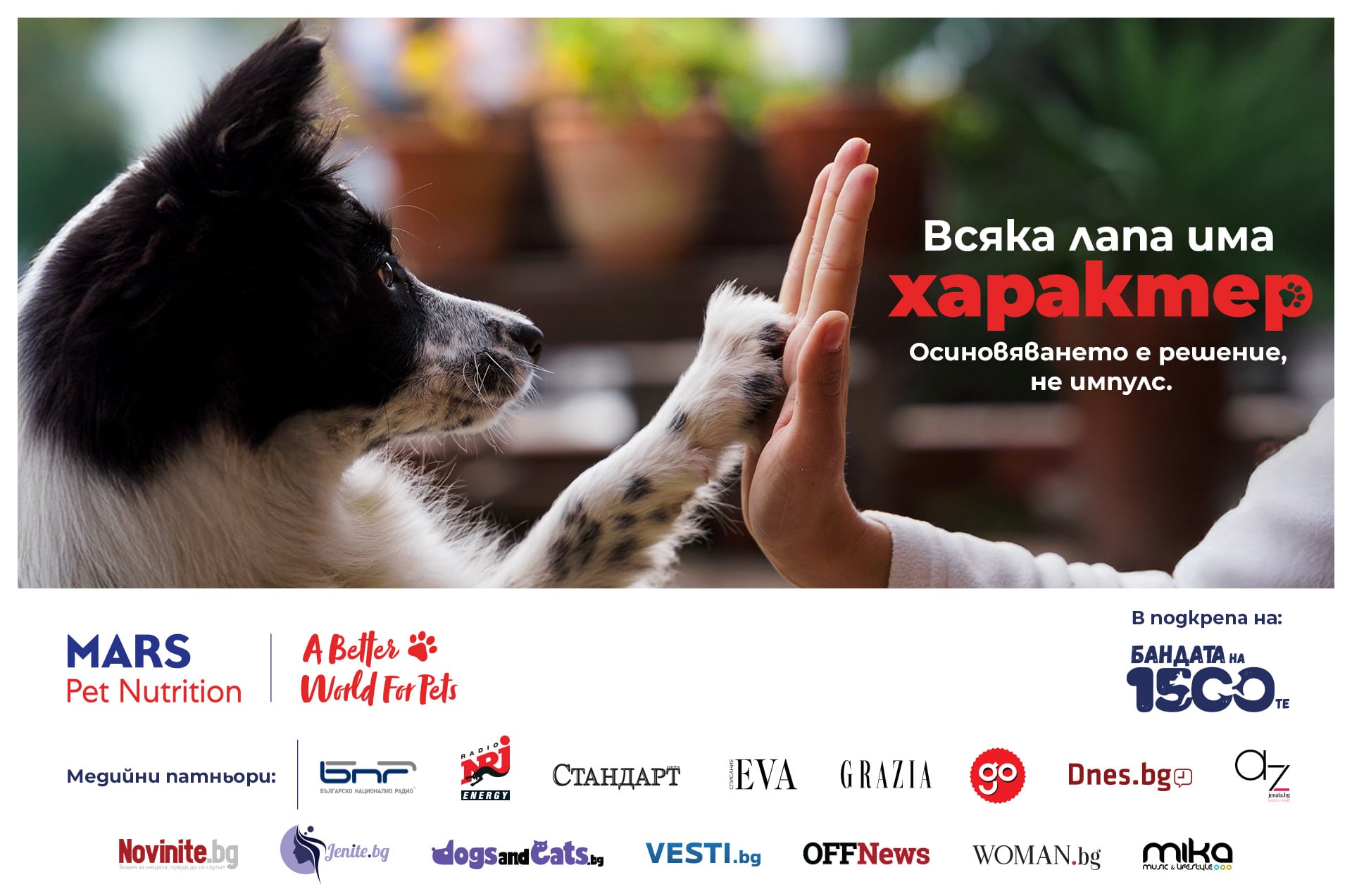 1. mars x 1500 dog gang campaign Стартира кампанията „Всяка лапа има характер“ за повече успешни осиновявания в България