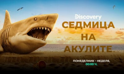 1920x1080 sw26 bg 6a704683200ce „Седмицата на акулите“ се завръща от 3 август по Discovery