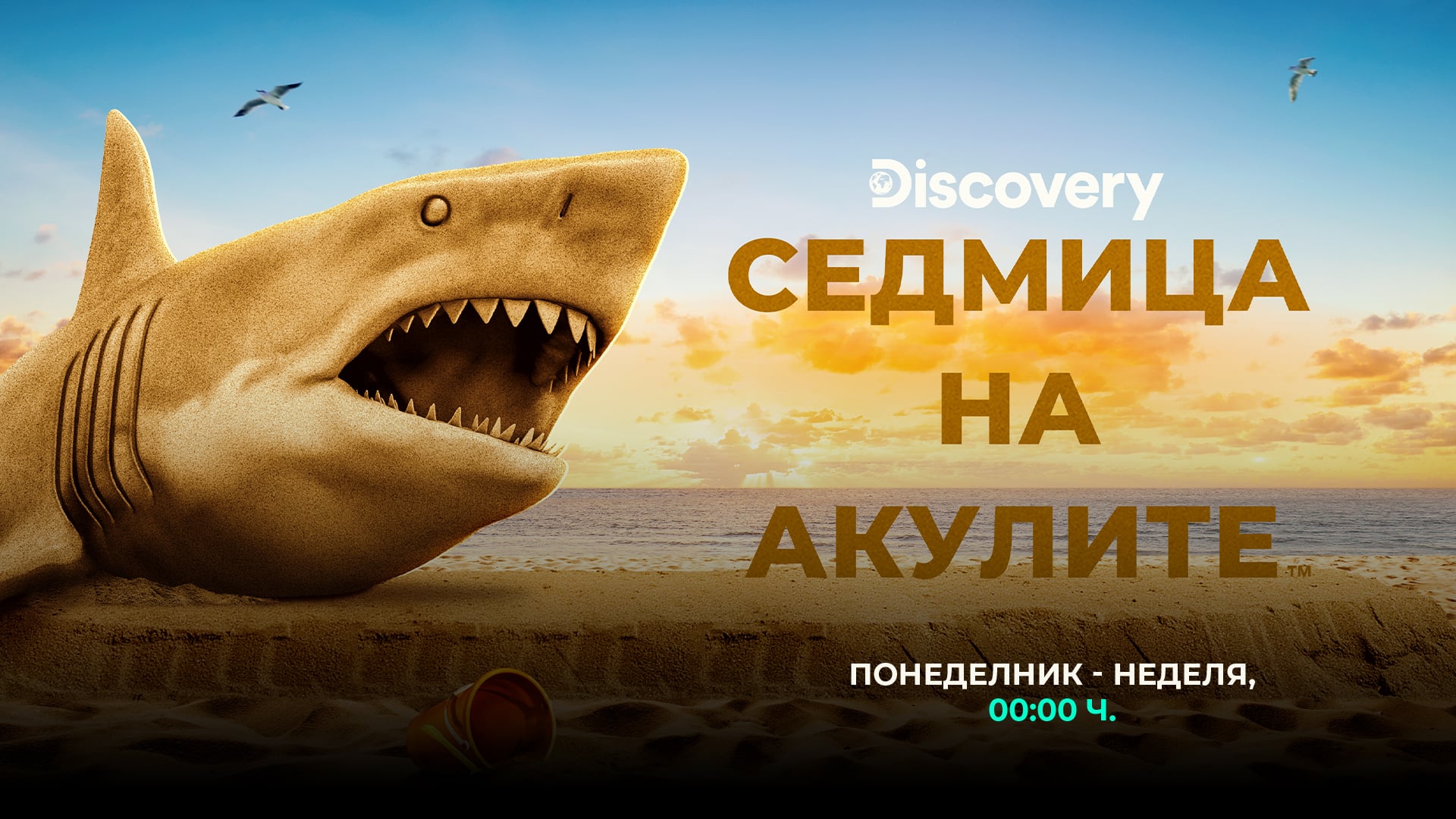 1920x1080 sw26 bg 6a704683200ce „Седмицата на акулите“ се завръща от 3 август по Discovery