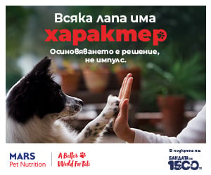 Pedigree x 1500 Dog Gang Campaign