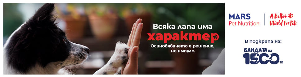 Pedigree x 1500 Dog Gang Campaign