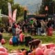 Фермата на Chilli Hills в село Лозен, домакин на Sofia Chilli Fest 2026