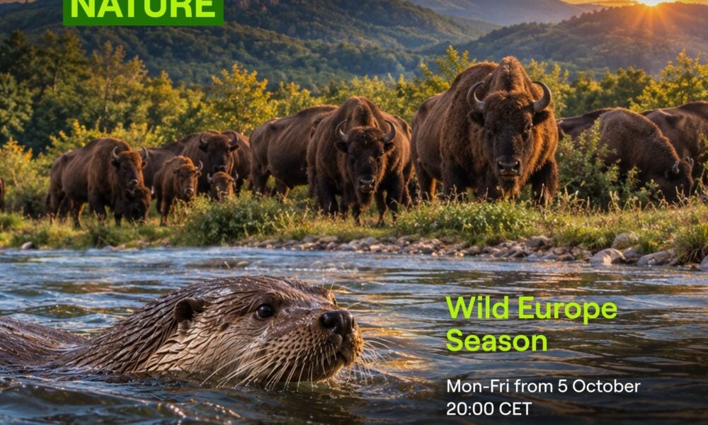 Кадър от „Сезон на дивата Европа“ по Viasat Nature
