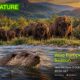 Кадър от „Сезон на дивата Европа“ по Viasat Nature