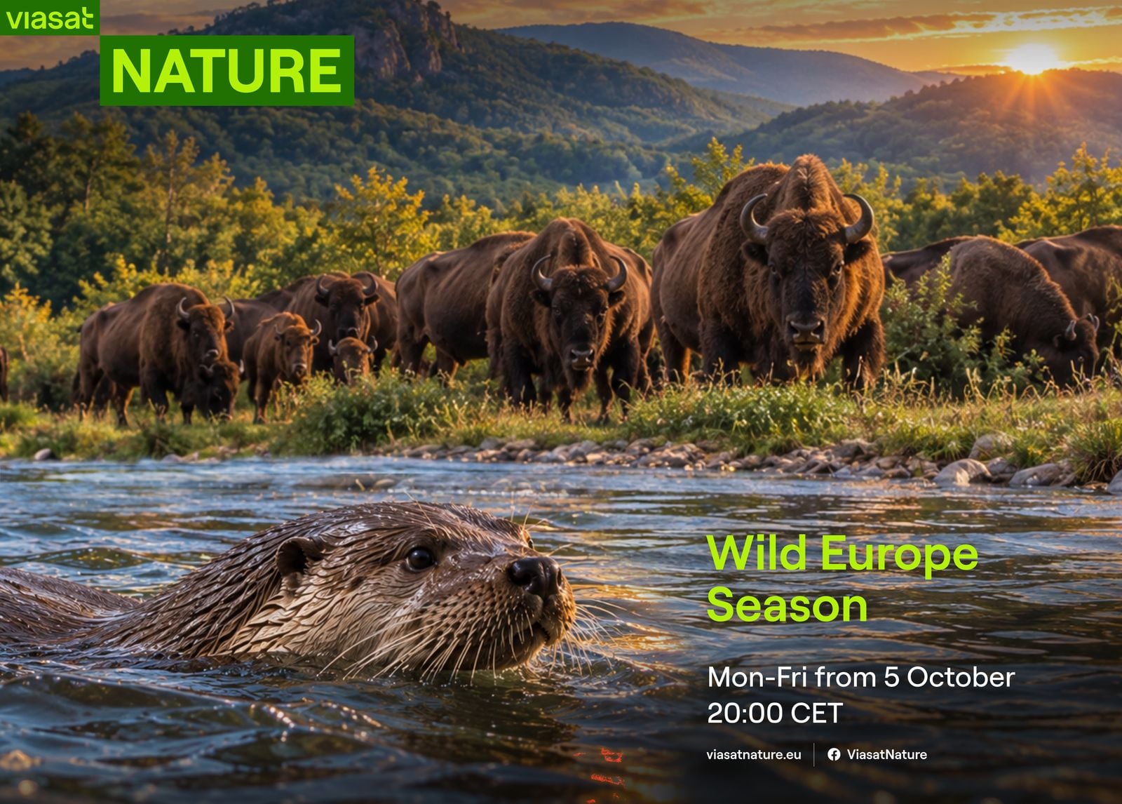 Кадър от „Сезон на дивата Европа“ по Viasat Nature