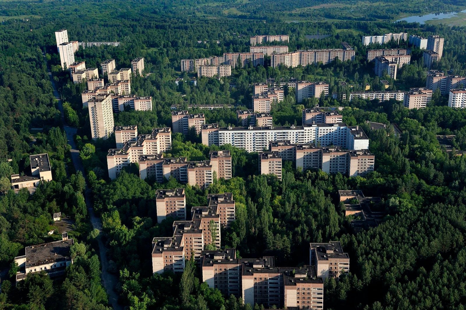 „Радиоактивни вълци“: Чернобил по Viasat Nature от 13 октомври 114 Вълци в изоставените села около Чернобил