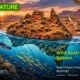Сезон на дивата Австралия по Viasat Nature